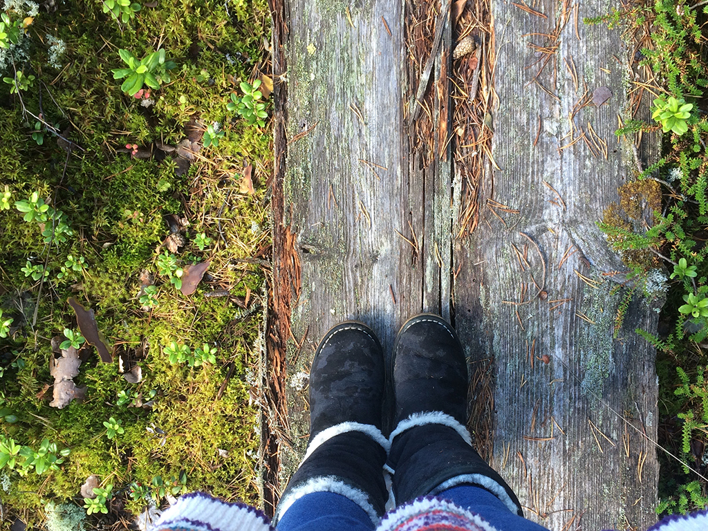 Moss.