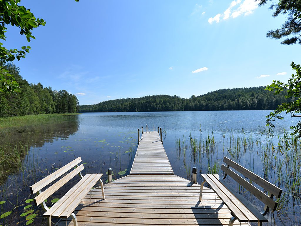 Lake view in summer.