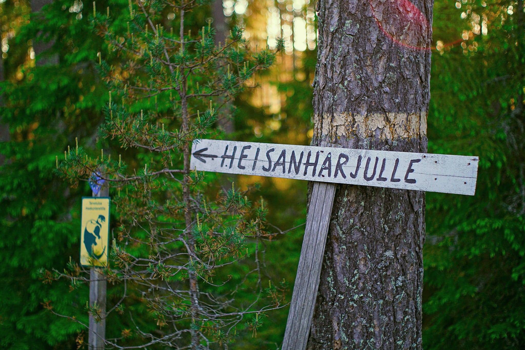 Heisanharju trail sign.